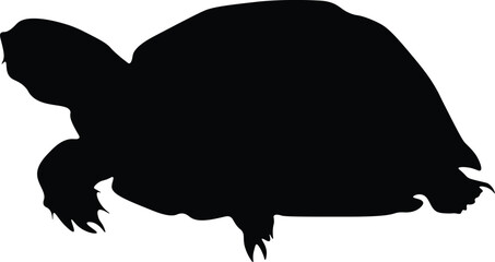 Elegant Monochrome Animal Vectors: A Collection of Wildlife Art