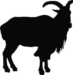 Elegant Monochrome Animal Vectors: A Collection of Wildlife Art