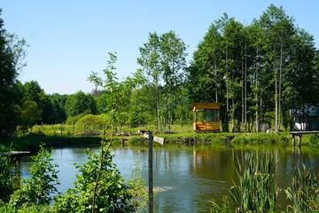 view of the lakes for growing carp fish against the background of the shore with green grass and wooden houses for fishermen on a family farm in summer while traveling in Europe