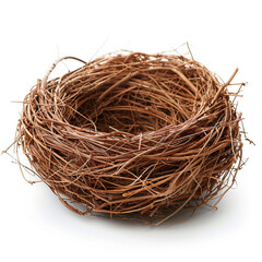 Obraz premium nest, bird, isolated, empty, white, nature, straw, home, natural, anima