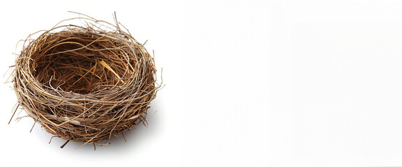 Obraz premium nest, bird, isolated, empty, white, nature, straw, home, natural, anima text copy space 