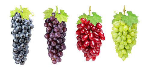 Collection of various types of grapes (Black, white and red grape) with leaf isolated on white background.