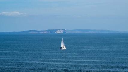 Fototapeta premium White sailboat at sea with the Isle of Wight in the background, Dorset Coast, Poole, England