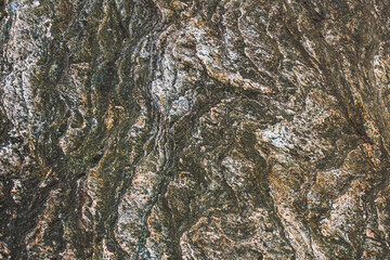 close up of a mossy stone with a wave structure