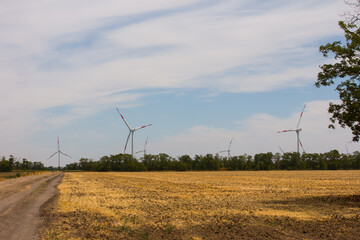 a wind farm with turbines to generate electricity in the fields. Summer landscape