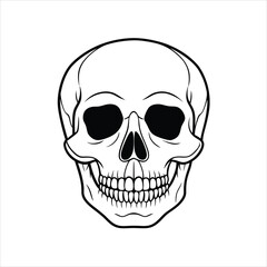 Halloween skull vector