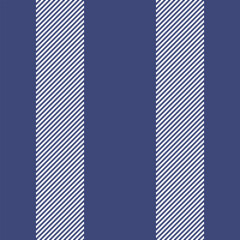 Proud textile lines background, discount seamless pattern texture. Colour stripe vertical fabric vector in blue and white colors.