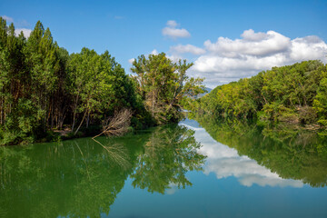View of the Ebro river with great flow and dense riverside forest between the provinces of Burgos and Álava, Spain, with waters like a mirror