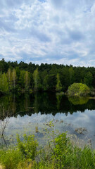 Obraz premium Landscape pond in the forest. A pond on a cloudy day.