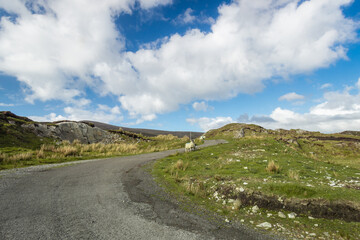 An Port Landscape. Donegal. Ireland