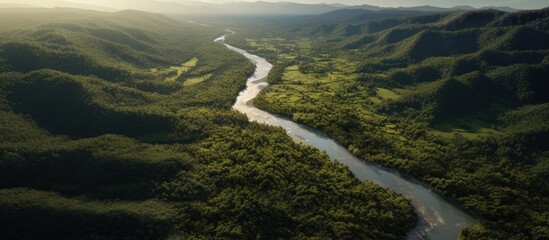 Aerial View of a Winding River Through Lush Green Forest