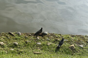 Sight seeing in Shillong, Meghalaya