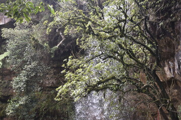 Places to see in Meghalaya Wards Lake, Seven Sisters Falls, Garden of Caves, Umiam Lake 