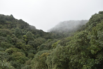 Places to see in Meghalaya Wards Lake, Seven Sisters Falls, Garden of Caves, Umiam Lake 