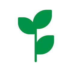 Obraz premium green leaf icon
