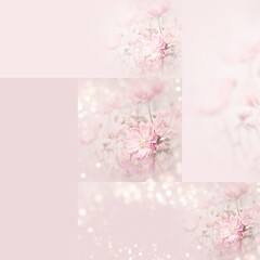 Beautiful bouquet of flowers - greeting card for mothers day, birthday and wedding - collage of flowers
