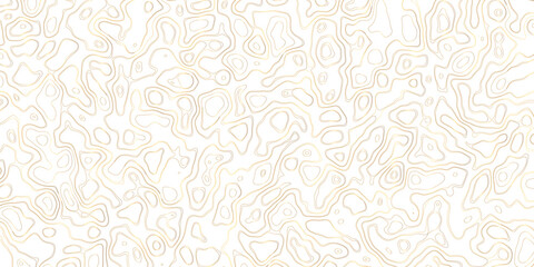 Abstract topography map, topology line map, geographic abstract grid vector background. 