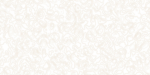 Abstract topography map, topology line map, geographic abstract grid vector background. 