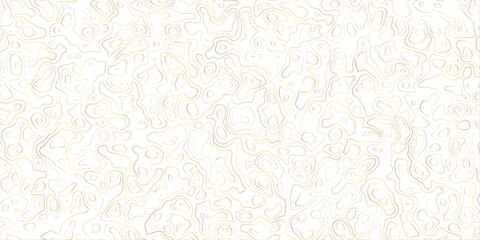 Fototapeta premium Abstract topography map, topology line map, geographic abstract grid vector background. 