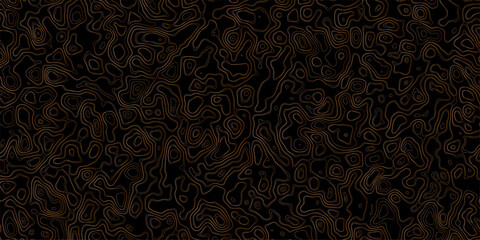 Abstract topography map, topology line map, geographic abstract grid vector background. 