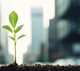 A business or finance growth concept with green seedling sapling growing in front of financial district cityscape. Could symbolise sustainable development goals and environment social and governance.