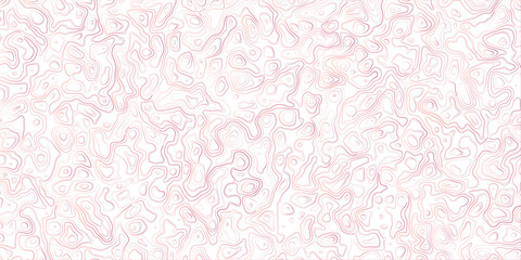 Fototapeta premium Abstract topography map, topology line map, geographic abstract grid vector background. 