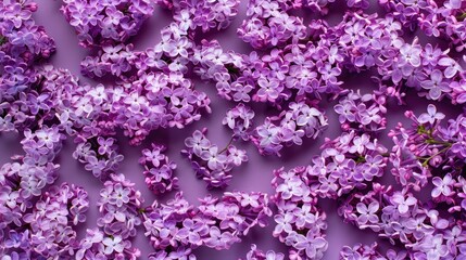 Naklejka premium Lilac wall backdrop for table florariums in close up view