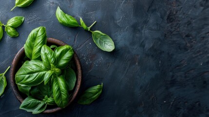 Fresh Basil on Dark Background