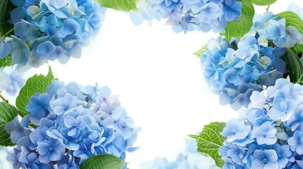 Background featuring blue hydrangea