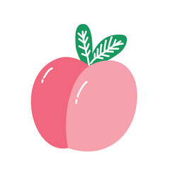 Sweet Fruit Set peach