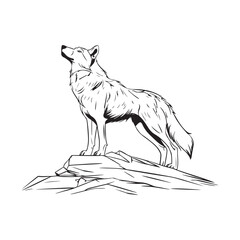 Wolf standing image vector. Illustration Wolf Standing On Rock isolated on white