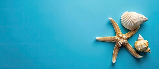 Starfish and shell on a vibrant blue background with copy space image
