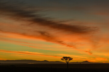 Dawn in Masai Mara