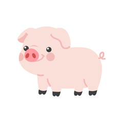 Cute cartoon pig Character animal