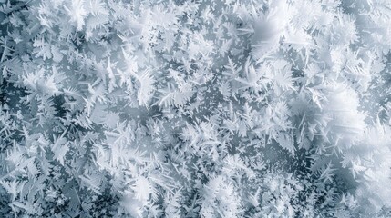 Fototapeta premium Top view photo of fresh white frosty snow texture