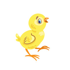 Funny chicken is walking. Isolated on white background. Vector flat illustration.