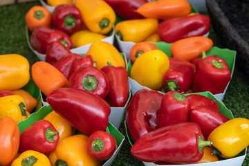 Farmer red and yellow peppers at street market