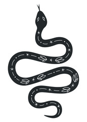 Mysterious snake with floral and cosmic elements. Black and white hand drawn mystic snake. Spiritual or esoteric symbols. Vector illustration isolated on white background. 