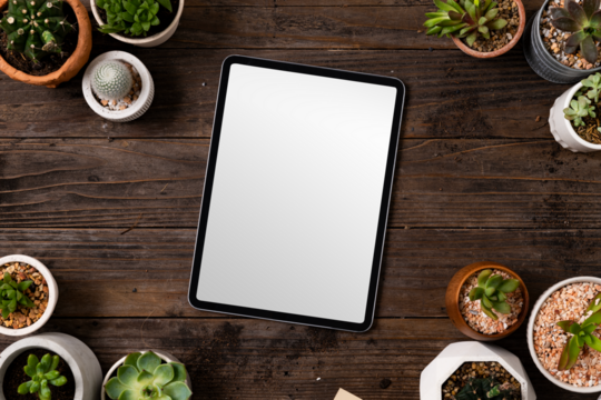 Tablet png screen mockup on plant parent table flat lay
