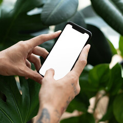 Phone png screen mockup in plant parent’s hand