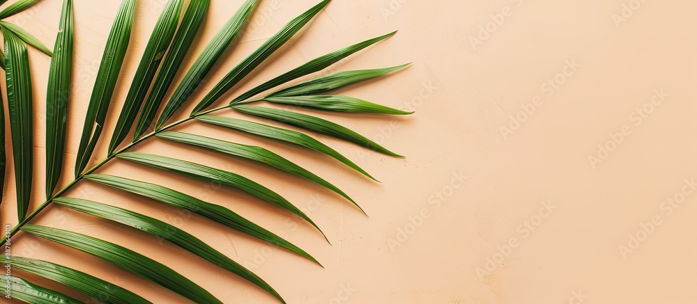 Poster flat lay with a tropical vibe featuring a palm leaf on a soft beige background perfect for a copy sp