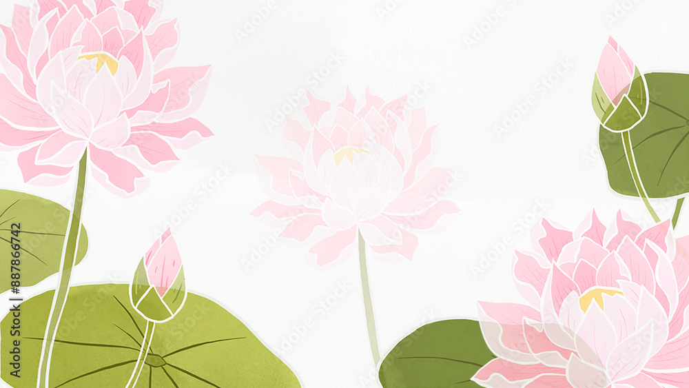 Poster Png hand drawn water lily transparent background