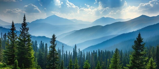 Scenic view of forest and mountains with copy space image