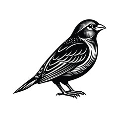 sparrow silhouette vector art illustration