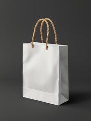 Ultra High Definition Product Photos: Exquisite Paper Bags Showcase
