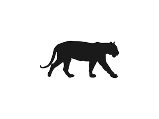 Tiger, fifteen different postures. Illustration material of the silhouette of the movement of the tiger. Silhouette collection set. black silhouette of running tiger on white background. 