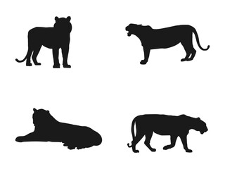 Tiger, fifteen different postures. Illustration material of the silhouette of the movement of the tiger. Silhouette collection set. black silhouette of running tiger on white background. 