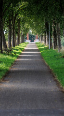 The newly renovated Lamgatse Bridge, also known as the bicycle bridge, and its surroundings on a sunny summer day in 2024.
