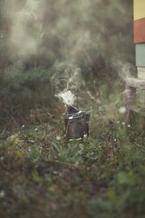 Beekeeper is working with bees and beehives on the apiary.