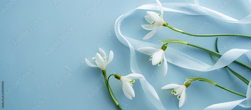 Fototapete minimal festive concept featuring a composition of spring snowdrop flowers on a blue background embe